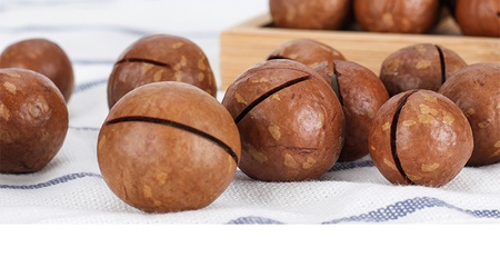 森林老爹堅果代工廠 一站式堅果貼牌代工，賦能品牌成長